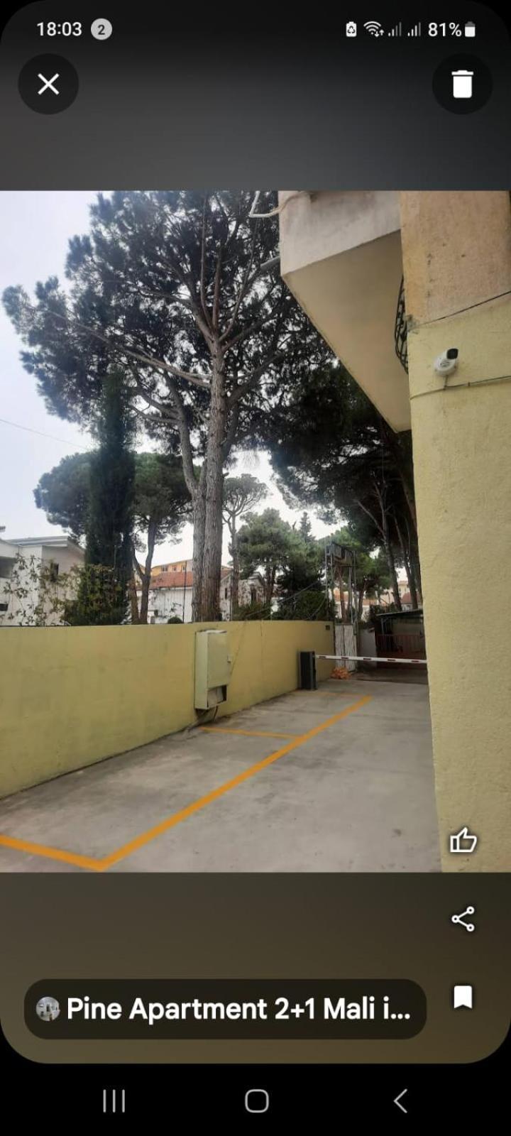 Pine Apartment 2 Plus 1 Голем Экстерьер фото